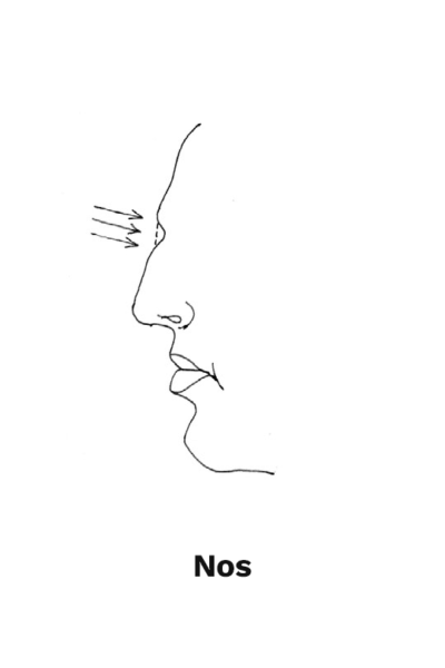 nosy